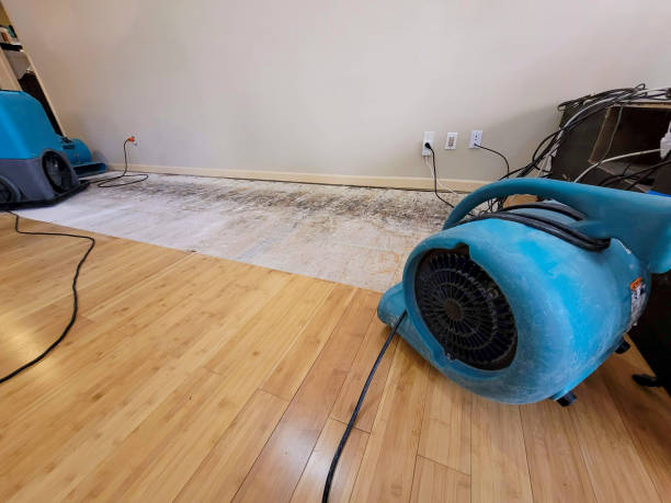 Professional Flood Damage Cleanup technician working in New Bern, NC